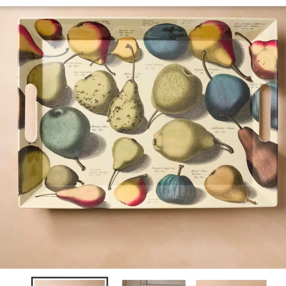 NWT Pears Melamine Rectangle Serving Tray - John Derian Company